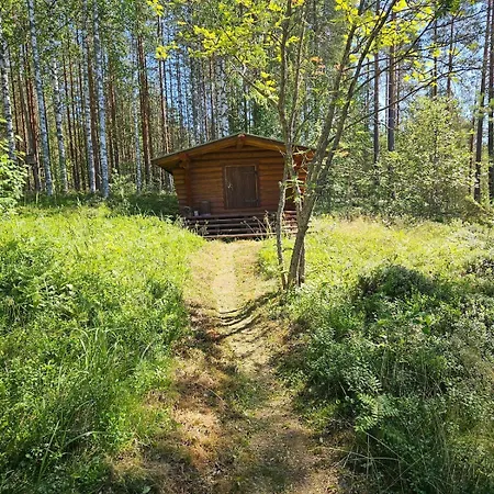 Chalet Perinteinen Moekki Jaerven Rannalla